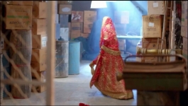 Nari Shakti Ka Utsav - 17th October 2026